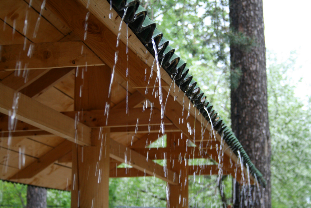 Rain